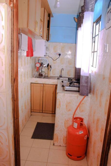 نيفاشا Cozy Homes 1 Bedroom House With Wi-Fi King Size Bed. Free Parking المظهر الخارجي الصورة